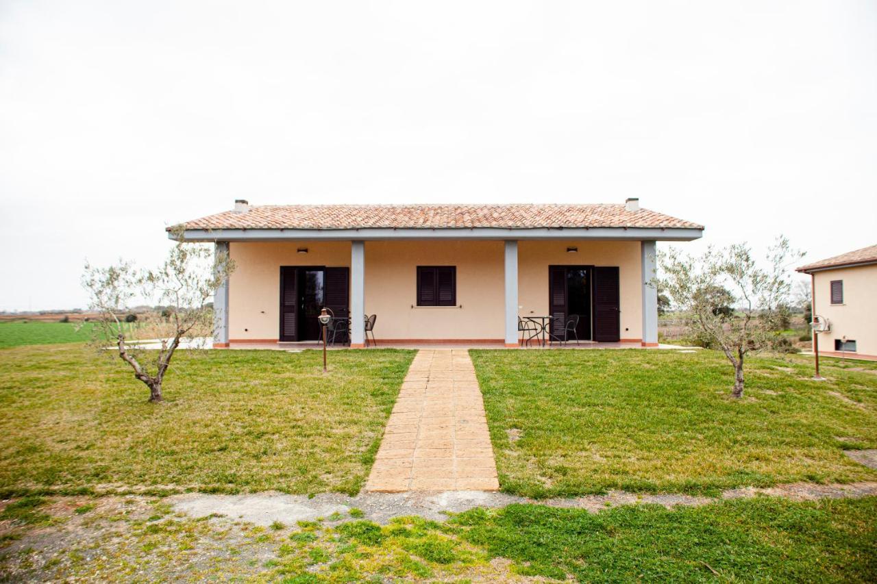 Podere Giovanni Olivo Тарквиния Экстерьер фото